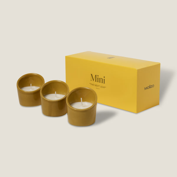 The next leaf SET: 3 MINIS – Moiizo